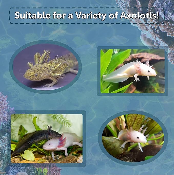 Axolotl Food 1/16" Soft Moist Sinking Salmon Crumbles for Baby Axolotl Also Shrimp, Snails, Crabs, Crayfish, Bottom Tropical Fish...10oz Small Jar