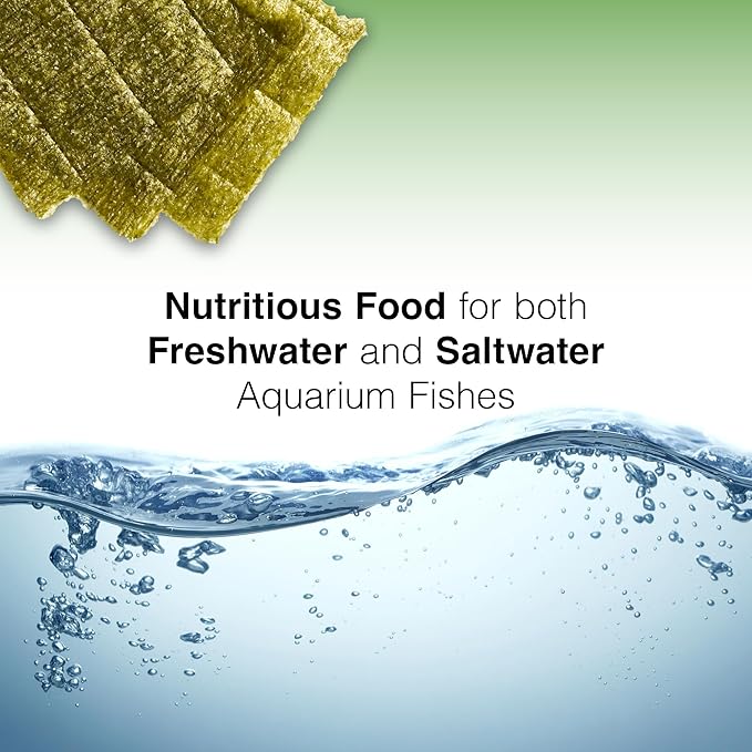 Two Little Fishies Atlsvgs4 Sea Veg-Green Seaweed, 1 Oz