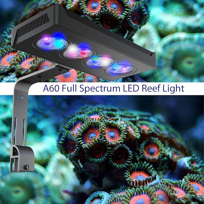 60W Full Spectrum Reef LED Light for Coral – Dimmable Saltwater Aquarium Light for SPS & LPS with Sunrise, Sunset & Moonlight – Nano Reef Tank 20–36" Up to 60 Gallons