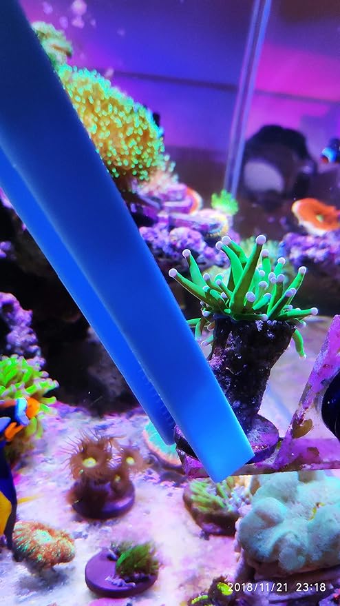 Aquarium Choice Coral Feeder Syringe - 11.8 Inch Reef Tweezers, Never Rusts, Fish Excreta Cleaner