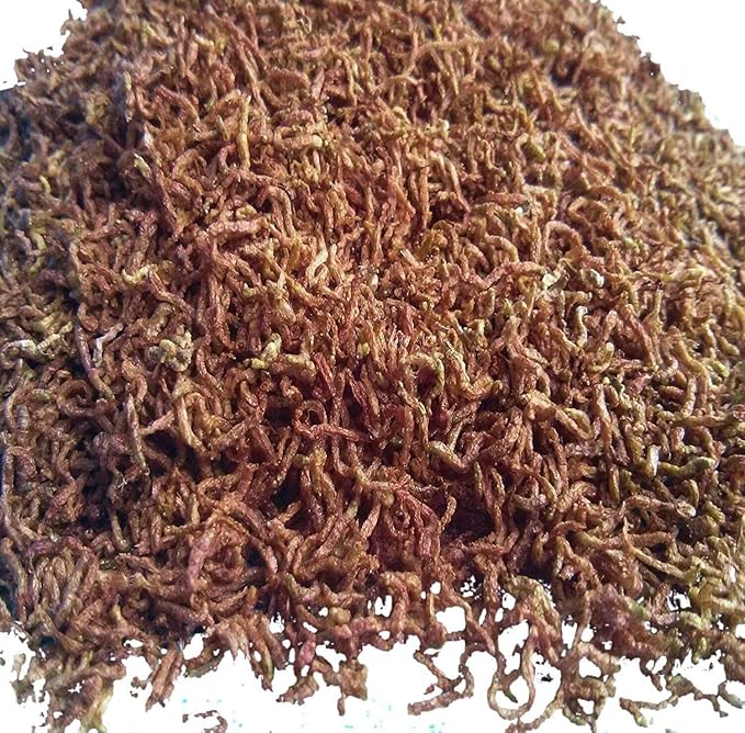 Bloodworms, Freeze Dried Grade A Fresh Floating Bloodworms for All Tropical Fish, Bettas, Discus, Cichlids, Community Fish, Turtles, Carnivore Tropical Fish - 1/4-lb