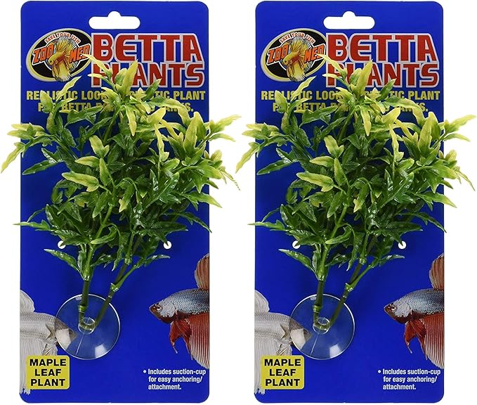 Zoo Med Laboratories Betta Plant Maple Leaf (2 Plants)