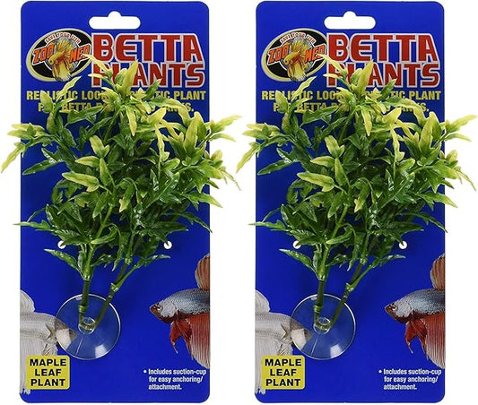 Zoo Med Laboratories Betta Plant Maple Leaf (2 Plants)