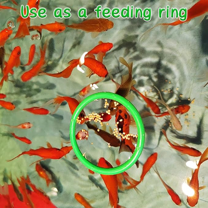 Betta Fish Enrichment Toys Ring and Mirror Floating Exercise Mirrors and Training Ring Floating Mirrors Aquarium with Feeding Rings Aquarium Accessories with Suction-Cup (Green)