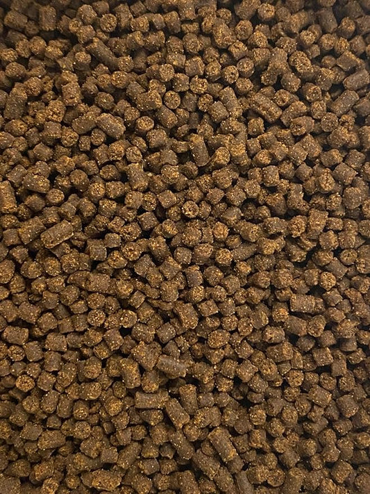 Juvenile Axolotl Food Soft Pellets 2.4mm,Salamander,Aquatic Frog,Newts,A282 (8oz)