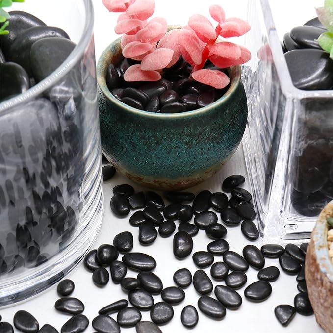 Black Rocks for Plants. Black Decorative Polished Pebbles. 1/5 Inch – 5 lbs. for Plants, Garden, Landscaping, Vase fillers, Succulents, pots (Mini (0.2 Inch), Black -Polished, 5)