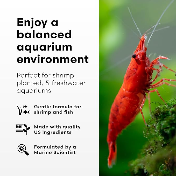 "Brightwell Aquatics FlorinBacter7 Freshwater Aquarium Water Conditioner for Biological Filtration Waste Breakdown Nutrient Control & Ecosystem Health, 125 ml"