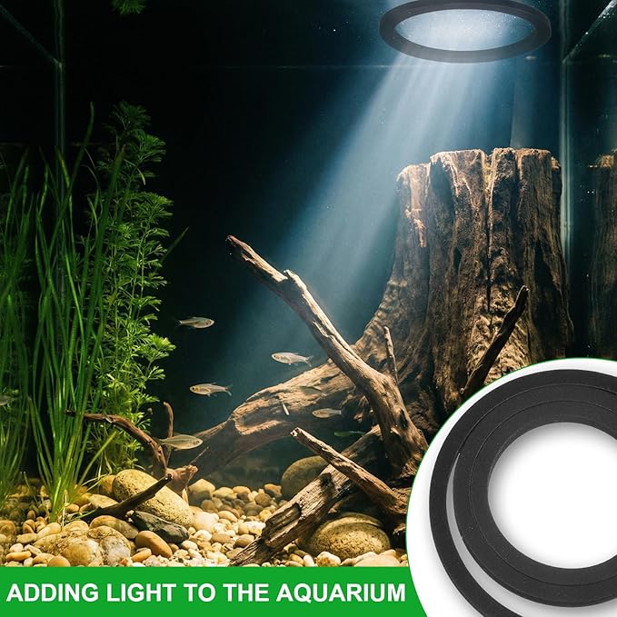 6PCS Aquarium Floating Plant Corral, Round Black EVA Fish Feeding Ring Set, Fish Tank Accessories for Mini Betta Tank, Floating Plants Holder|Feeder|Corral