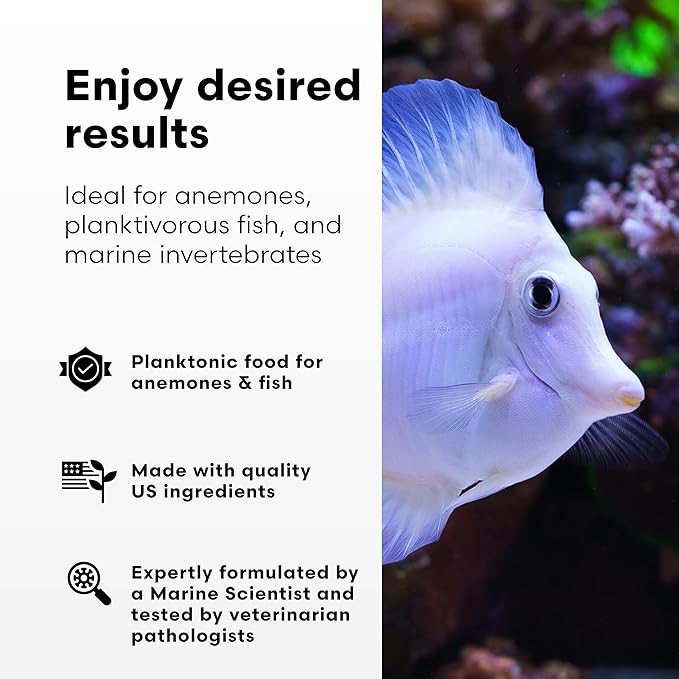 Brightwell Aquatics Reef Blizzard-A – High-Protein Planktonic Blend for Anemones, Planktivorous Fish & Marine Invertebrates – Enhances Color & Growth, 16 kg