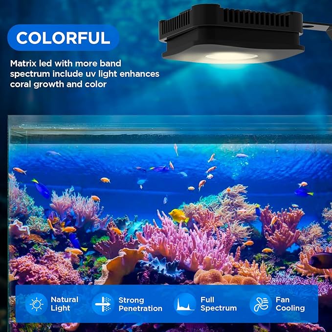 Lominie LED Aquarium Light Saltwater Aquarium Lamp 30W Full Spectrum with Remote Dimmable Nano Coral Reef Light for Fish Tank with Bracket