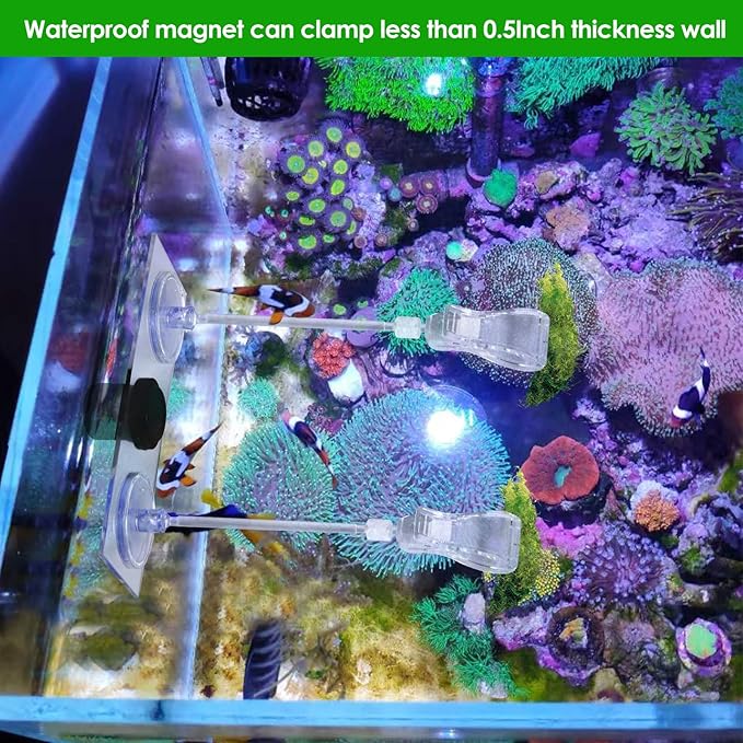 Magnet nori Clips Feeder for Saltwater Fish Tank Accessories Seaweed clamp Holder Coral Seaweed Clip Veggie Feeder Clip for Fish Never Rust