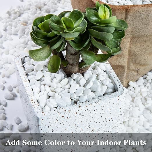 5lb Polished Aquarium Silica Gravel, Decorative Pebbles Substrate for Fish Tank, Vases, All Purpose Silica Gravel for Aquarium, Fire Pits, and Landscaping, Snow White(0.16-0.24”)