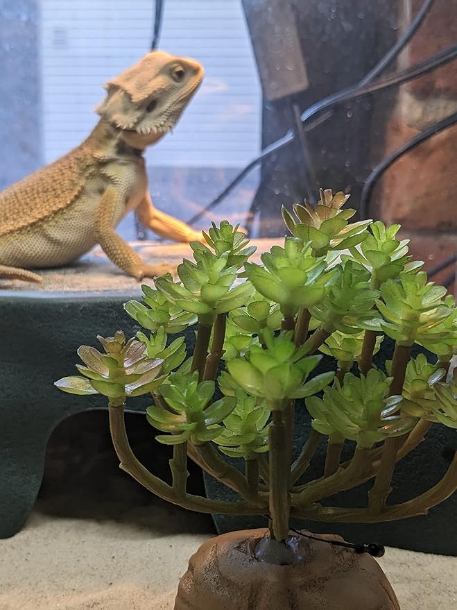 Josh's Frogs Arid Artificial Plants for Reptiles (Succulent Bunch)