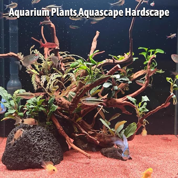 kathson Natural Driftwood for Aquarium, Red Moor Driftwood Mix 12''-16'' Long Driftwood for Decorations Aquarium Driftwood Assorted Shapes Natural Aquarium Decor Driftwood (150g, Delicate Branches)
