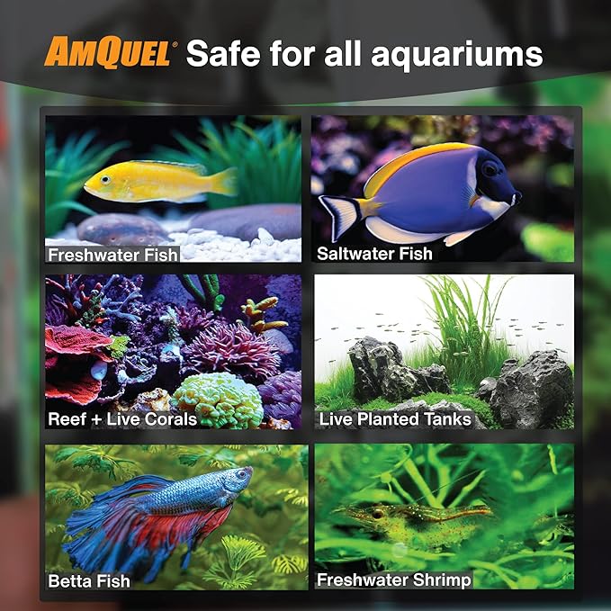Kordon AmQuel One-Step Aquarium Water Conditioner - Removes Chlorine & Chloramines Fast, Detoxifies Ammonia, for Freshwater & Saltwater Aquariums, 1-Gallon