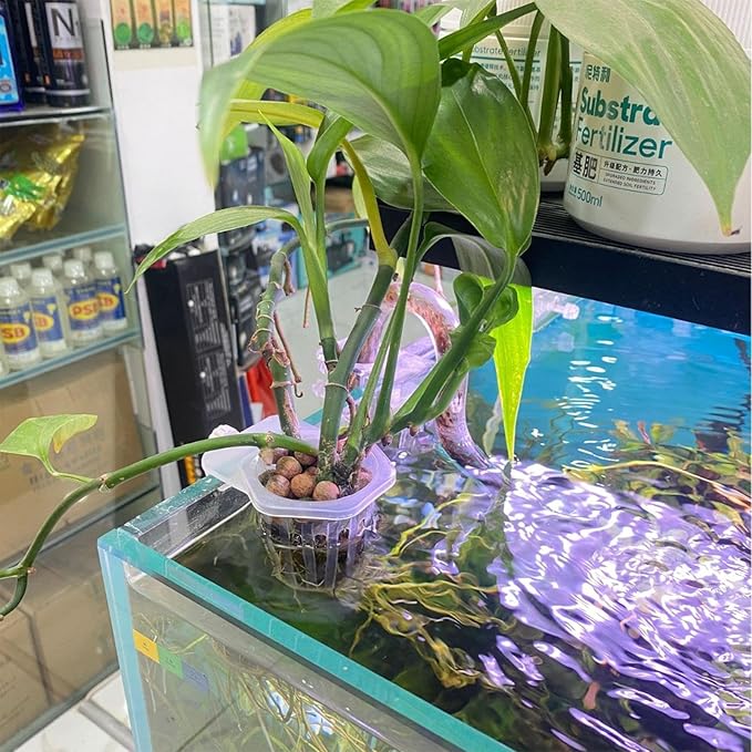 Generic Translucent Aquarium Plant Holder | 2PCS Aquatic Plant Holder with Holes | Aquaponic Plant Cultivation Holder | Pet Supplies Aquatic Plant Pots for Fish Tank