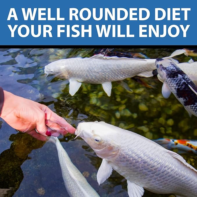 CrystalClear WheatGerm Fish Food—Protein-Rich Floating Pellets for Cold Freshwater Ponds, Ideal in Cooler Spring & Fall Seasons - 2.2 Pound Bucket