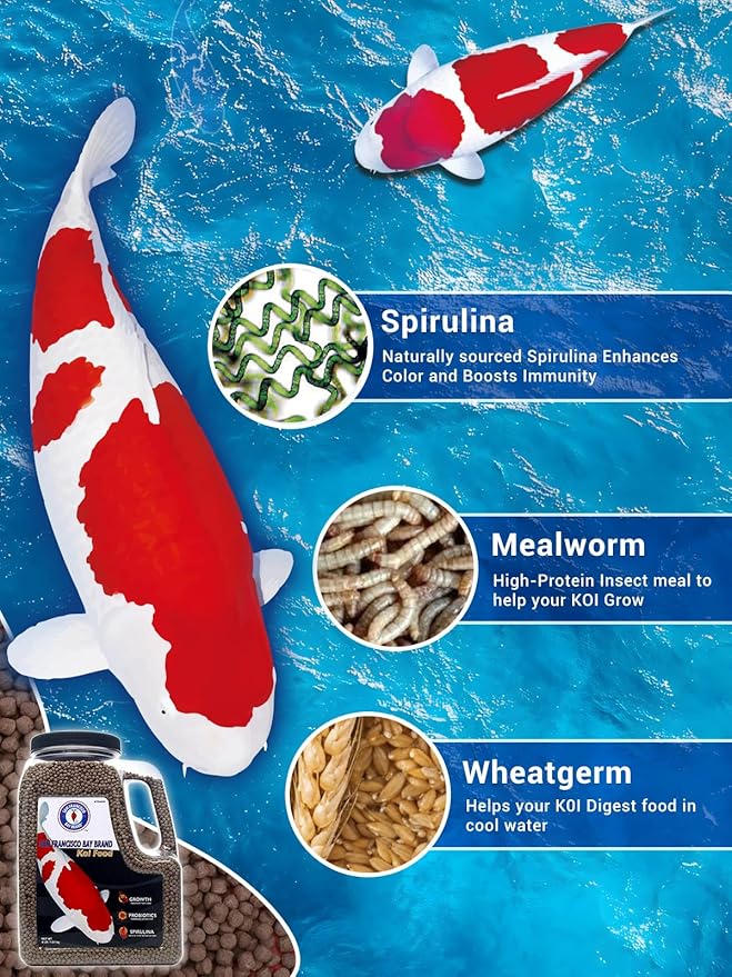 San Francisco Bay Brand Premium Koi Fish Food 4 lbs - Medium Floating Pellets Fish Food, All-Natural Spirulina & Probiotics Koi Food, Complete Multi-Season Diet, Enhance Color & Immunity, 36% Protein