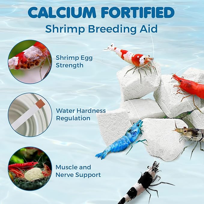SunGrow Shrimp Rocks for Aquarium, 4-oz. Calcium Stones for Shrimp, Freshwater Aquarium Calcium Rocks for Snails, Recreate Shrimp Habitat, Feeder Discs for Crabs & Crayfish, Snail Tank Accessories
