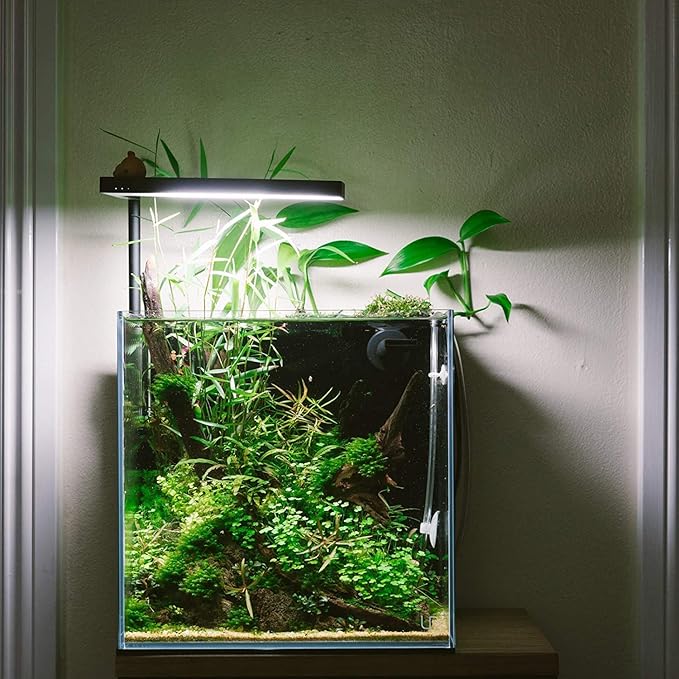 ONF Flat Nano Plus Bluetooth Tank Light with Metal Board Base, fits Aquarium Nano Tank, Betta Fish Tank, Potted Plants, Succulent, Miniature Landscape
