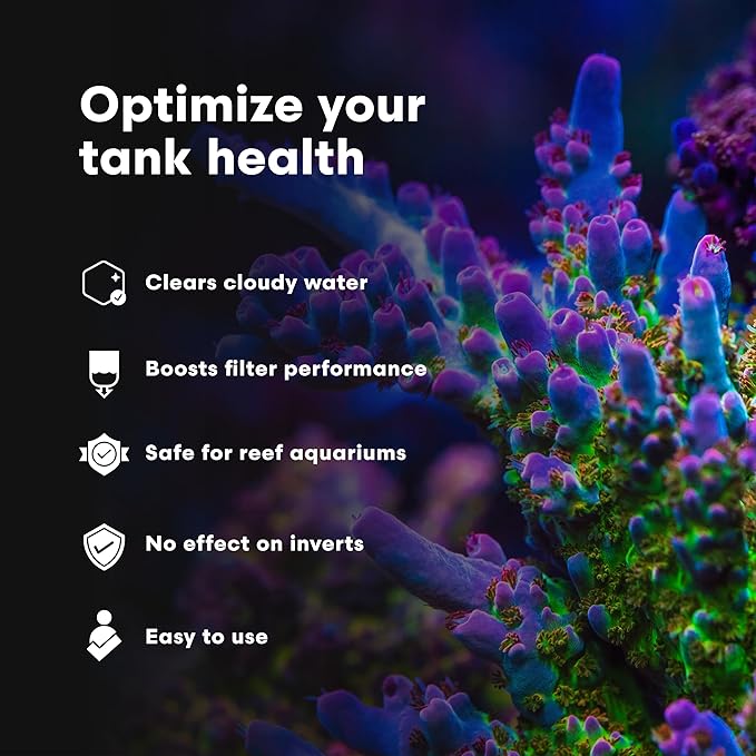 Brightwell Aquatics Clarifī-SW Marine Water Clarifier for Saltwater Aquariums Enhances Water Clarity by Removing Cloudiness with Protein Skimming and Mechanical Filtration Compatibility, 2L