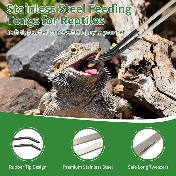 3PCS Reptile Feeding Tongs with Rubber Tips, 10.6" Stainless Steel Tweezers & Spoon Set with Storage Bag for Bearded Dragons, Geckos, Turtles, Tank Accessories