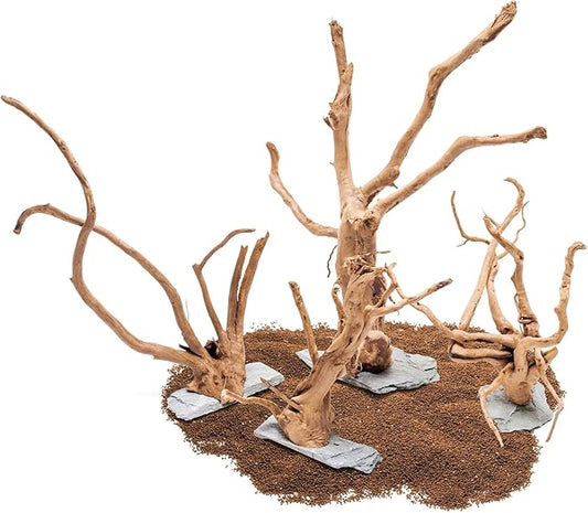 Ultum Nature Systems Driftwood - Spider Wood on Slate Stone for Fish Tank, Planted Tank, Terriarium, Paludarium - Versatile Natural Driftwood Decor - Spider Wood on Slate Stone, Small (7-12")