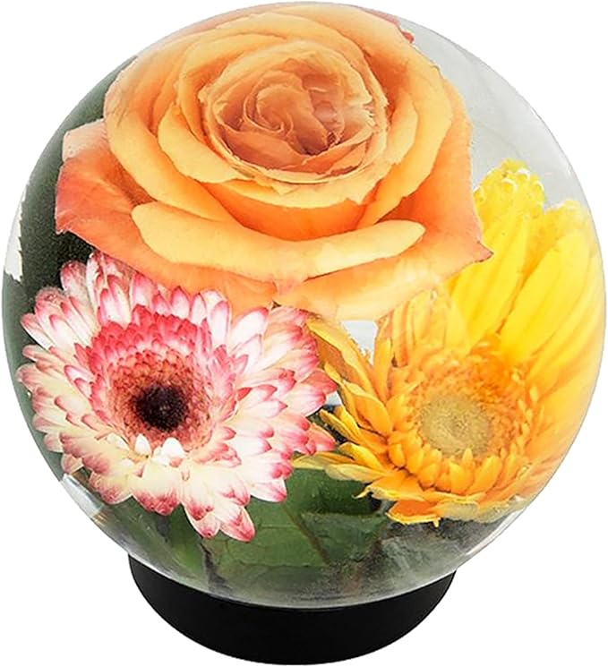 Achla Designs Flower Aquariums Set of 3 Glass Orb Bud Vases with Floral Frog Base, 6.5 Inch Decorative Flower Display Spheres with Plastic Stand, Water Filled Magnifying Flower Vessel Centerpieces
