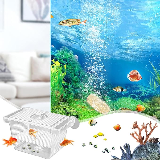 Generic Fish Breeding Tanks - Acrylic Hatchery Incubator Tank, Fish Tank Divider Acclimation Box | Floating Design Baby Fish Tank for Baby Fishes, Shrimp, Clownfish, Guppy, Aggressive Fishes