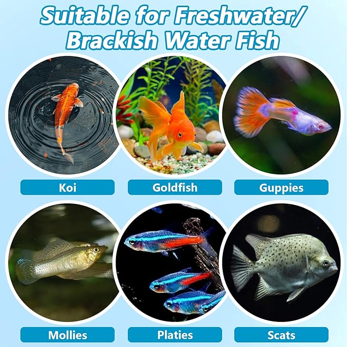 MAQIHAN 150 Tablets Aquarium Salt - Aquarium Salt Freshwater for Freshwater Tank Koi Pond Salt for Koi Fish, Goldfish, Guppies, Mollies, Scats, Monos