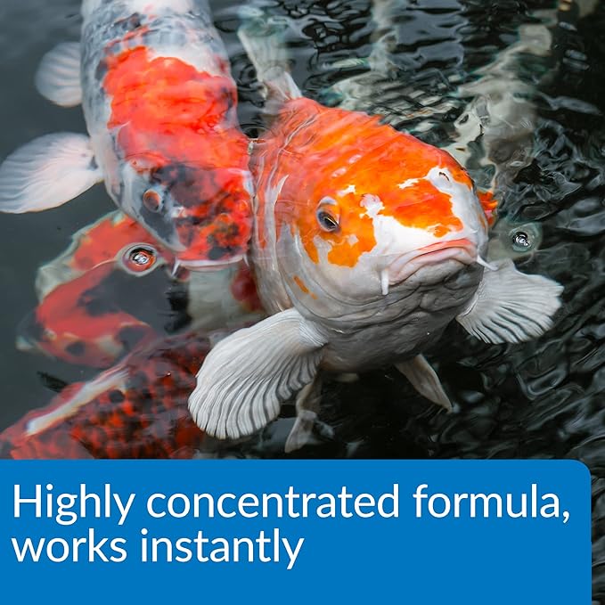 API Pond Aqua Essential Pond Water Conditioner 1-Gallon Bottle