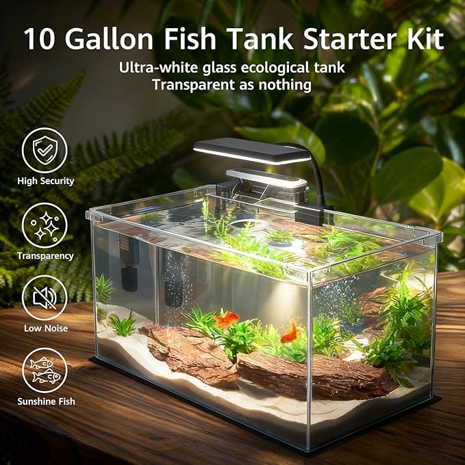 Vimvins 10 Gallon Glass Small Fish Tank with Filter Light and Lid, Aquarium Starter Kit