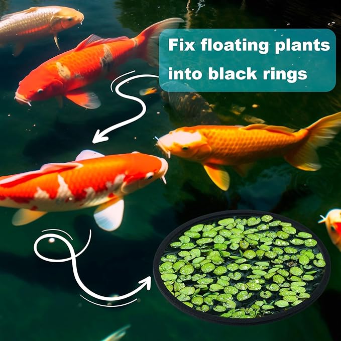 OIIKI 10 PCS Fish Feeding Rings Sets, Floating Aquarium Plant Corral, Floating Plant Rings, Oval and Square Fish Feeding Rings, Fish Tank Aquarium Accessories for Fish Tank, Floating Plants - Black