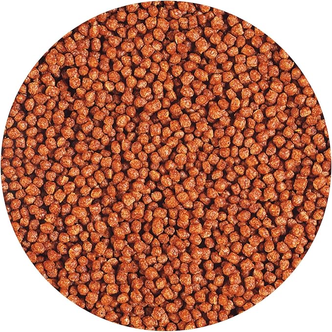 Hikari Tropical Betta Bio-Gold Fish Food, 0.70 oz (20g)