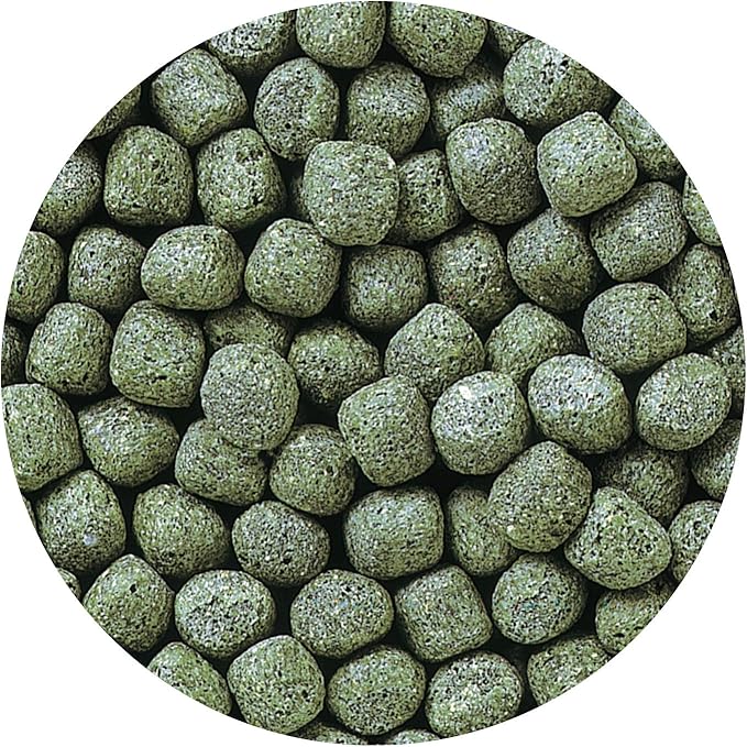 Hikari Cichlid Staple Floating Pellets Fish Food, Large Pellets, 8.8 oz. (250g)