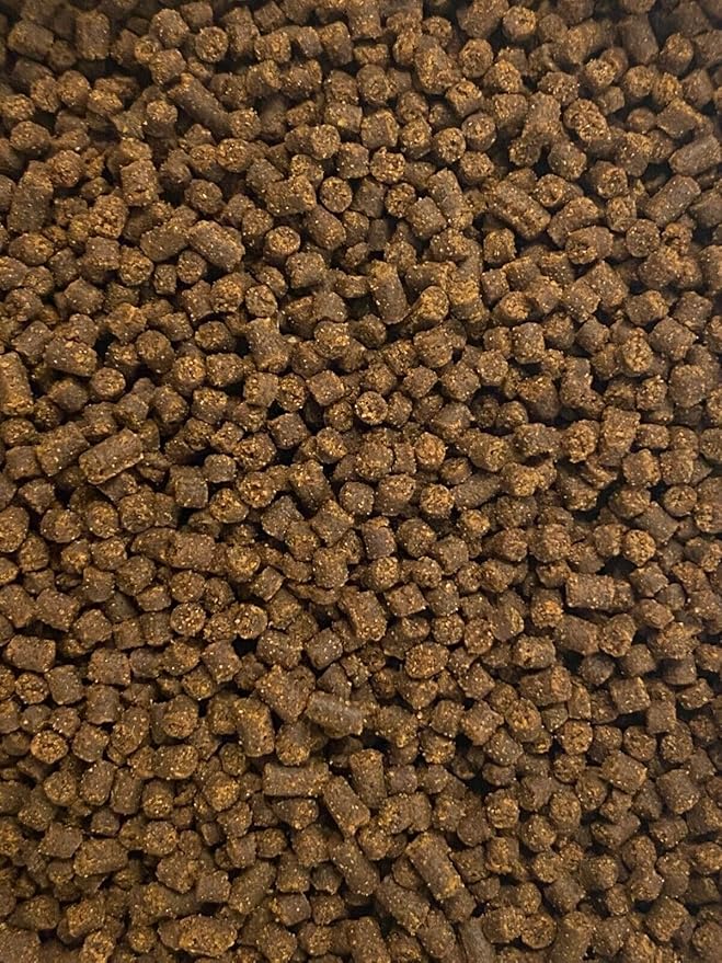 Juvenile Axolotl Soft Food PELLETS 2.4mm,Salamander,Frog,Newts,A282 (1oz - Sample)
