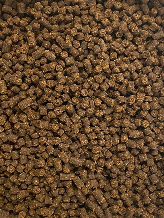 Juvenile Axolotl Soft Food PELLETS 2.4mm,Salamander,Frog,Newts,A282 (1oz - Sample)