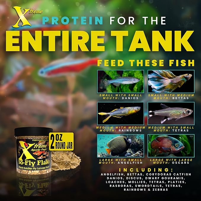 Xtreme So-Fly Flakes - Sustainable Protein from Black Soldier Fly Larva for Tropical Fish - Eco-Friendly Food, Nutrient-Rich, All-Natural Diet - USA Farm Grown (2oz)