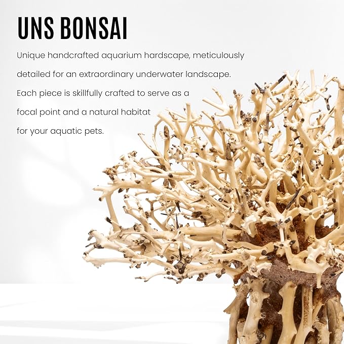 Ultum Nature Systems Bonsai - Handcrafted Hardscape Driftwood for Aquarium, Terrarium, Vivarium, Natural Aquascape Hardscape Decorations, Aquascaping Hardscape for Live Aquatic Plants - 007, Small