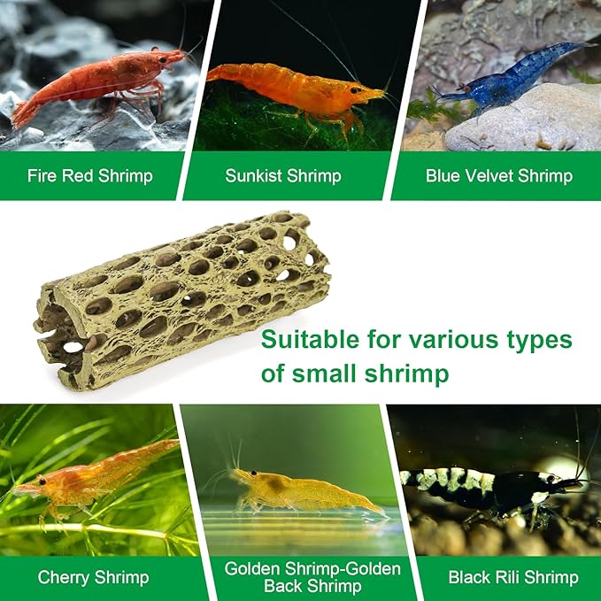 Hiceeden 2 Pcs Resin Cholla Wood for Aquarium, 6" Shrimp Hideout Driftwood Decor, Shrimp Cave Tank Accessories, Climbing & Chew Toy for Aquatic Habitat, Hermit Crabs, Fish, Snail, Reptiles