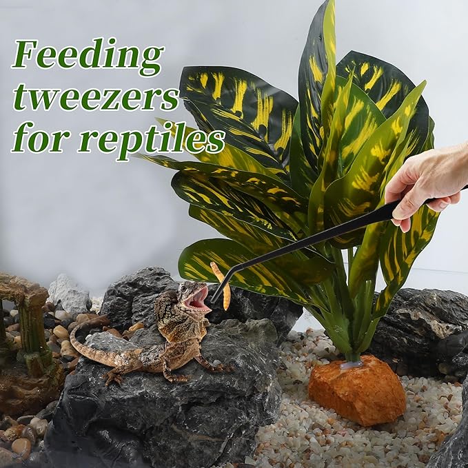 Reptile Feeding Tongs, Stainless Steel Lizard Feeding Tongs, Aquarium Curved Feeding Tweezers for Reptiles with Rubber Tip, Terrarium Feeding Tongs for Gecko, 14.96" Length, Black