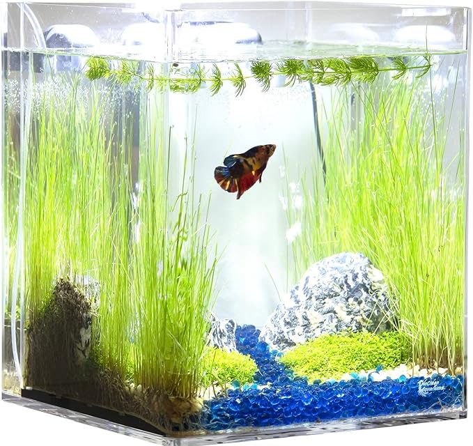 Silent USB Aquarium Air Pump | Throttle Switch | Airstone & Tube | Aeration Kit | Water Agitation | Eliminates Floating Bio Film