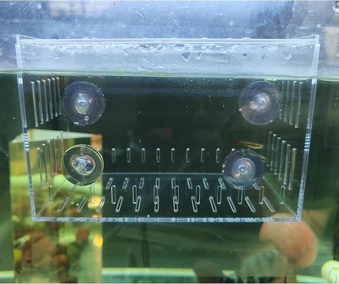 Acrylic Fish Tank Isolation Box 6"x4"x4" - No Assembly - Clear View Breeding Hatchery with Suction Cups & Feeding Kit (Fish Feeder - Pipette Included
