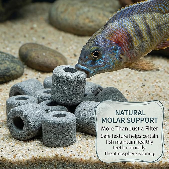 Sukh Ceramic Rings for Aquarium Filter – 1.6cm Porous Bio Media, 15oz Fish Tank Filtration Replacement for 20–55 Gallon Canister & Pond Systems, Includes 2 Media Bags for Freshwater Saltwater Setup