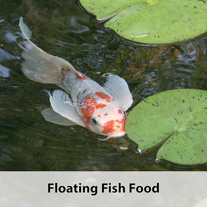 Kaytee Koi’s Choice Koi Floating Fish Food, for Koi, Goldfish and Pond Fish, 10 pounds (Pack of 2)