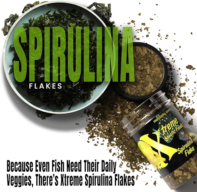 Xtreme Spirulina Flakes - Balanced Herbivorous Diet for Tropical and Marine Fish, Enhanced Health, Vibrant Colors - USA Farm Grown - Ideal for Cichlids, Barbs, Tetras and Guppies (2oz)