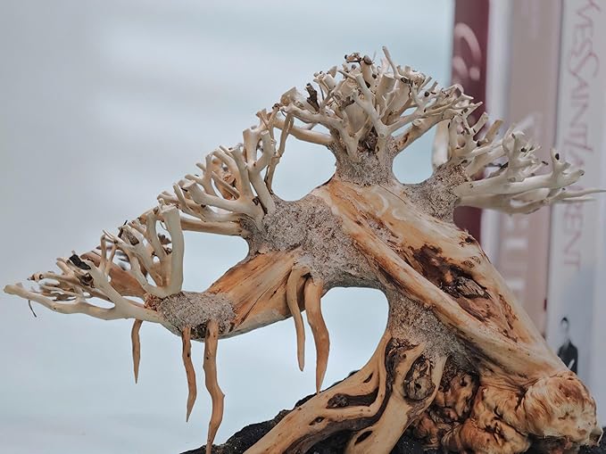 Bonsai Driftwood Aquarium Tree on Lava Rocks for Aquarium Decor Fish Tank Decorations (8in H x 10in L x 5in W) Handcrafted Natural Fish Tank Decor, Balances pH,Tds