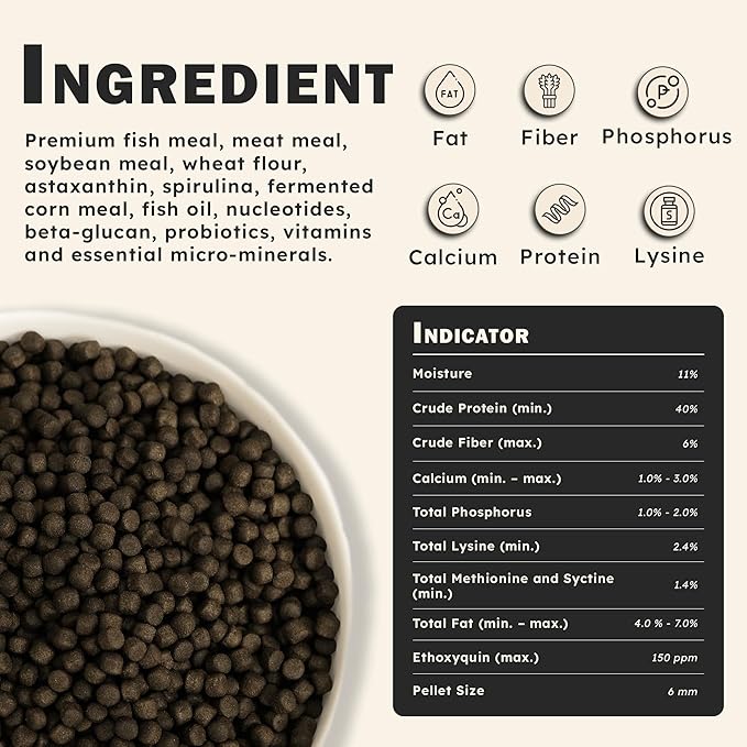 HARUTO Koi Food Color Enhancer 11lb – Floating Pellets with Spirulina & Astaxanthin, Appearance-Focused Formula, Daily Feeding for Koi Fish Ponds