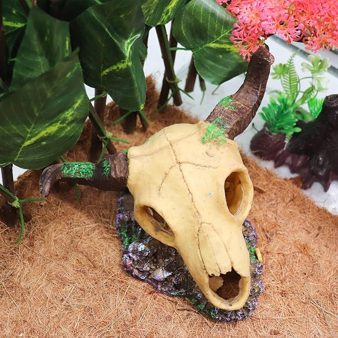 Snake Hideout, Reptile Aquarium Skull Decor, Resin Skeleton Head Fish Hide, Tank Terrarium Aquarium Accessories, Reptile Hides and Caves for Fish Bearded Dragon Salamander Ball Python Leopard Gecko