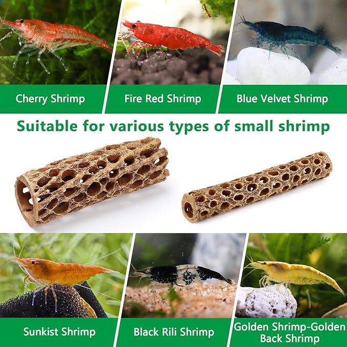 6“ Resin Cholla Wood Aquarium Décor Wood- Realistic Shrimp Hideout & Climbing Toy (6" L×2”Dia, 2pcs)